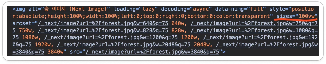 Next.js Image width height 속성